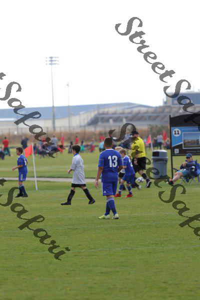IMG_0080 (cam 0)
