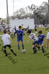 IMG_0070 (cam 0)