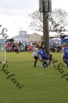 IMG_0164 (cam 0)