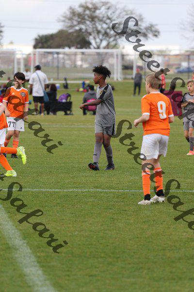 IMG_0005 (cam 0)