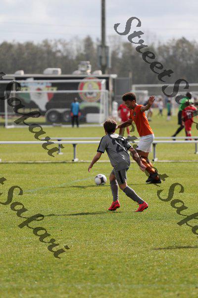 IMG_0088 (cam 0)