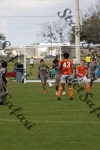 IMG_0036 (cam 0)