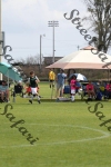 IMG_0066 (cam 0)