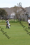 IMG_0083 (cam 0)