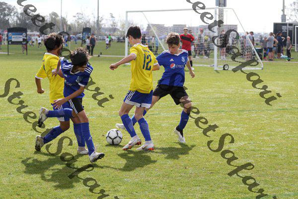 IMG_0067 (cam 0)