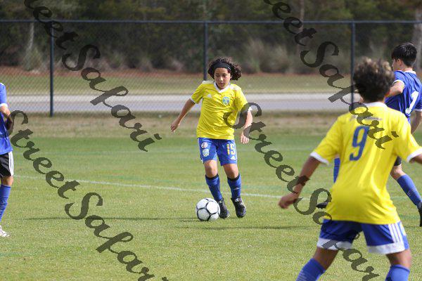 IMG_0080 (cam 0)