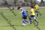IMG_0028 (cam 0)