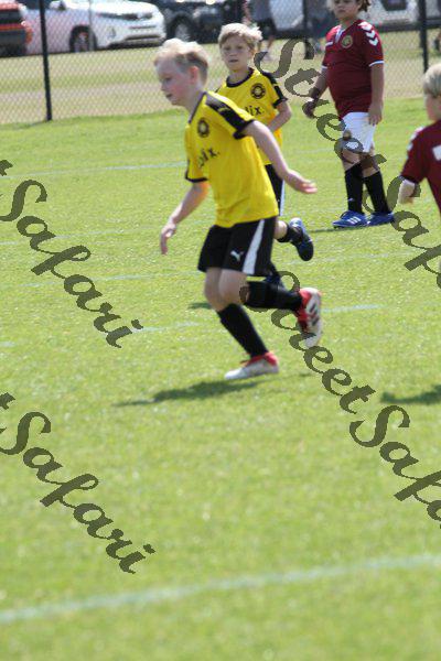 IMG_0065 (cam 0)