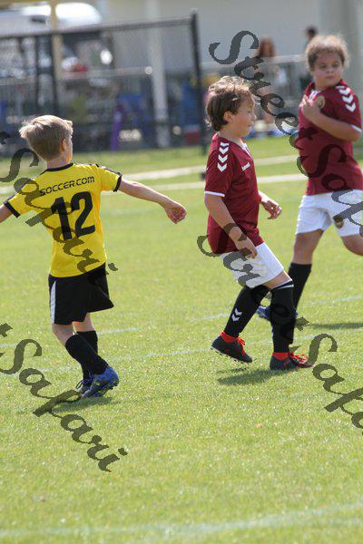 IMG_0105 (cam 0)