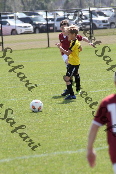 IMG_0145 (cam 0)