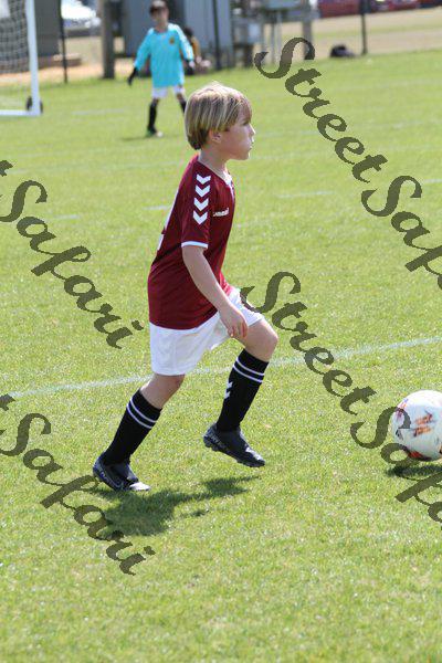 IMG_0146 (cam 0)
