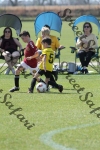 IMG_0054 (cam 0)