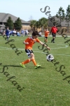 IMG_0045 (cam 0)