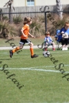 IMG_0083 (cam 0)