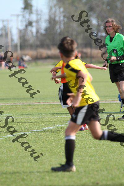 IMG_0043 (cam 0)
