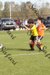 IMG_0033 (cam 0)