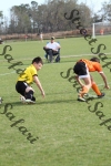 IMG_0154 (cam 0)