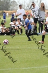 IMG_0041 (cam 0)