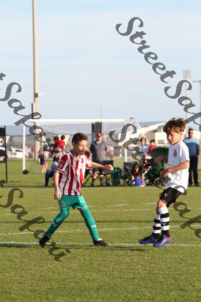 IMG_0100 (cam 0)