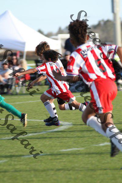 IMG_0133 (cam 0)