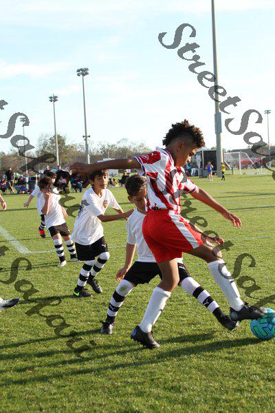 IMG_0156 (cam 0)