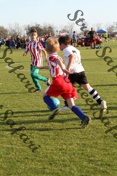 IMG_0157 (cam 0)
