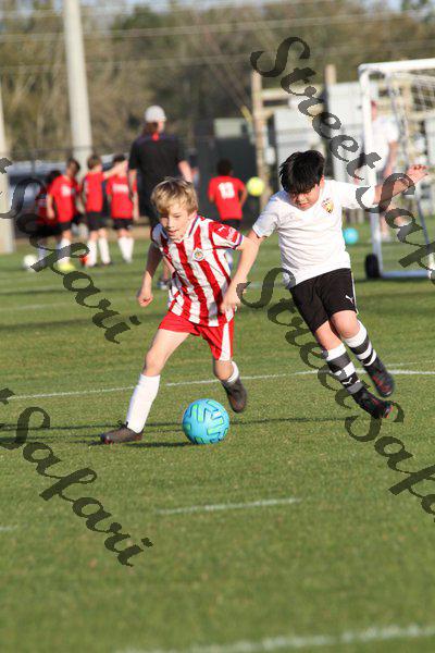 IMG_0204 (cam 0)