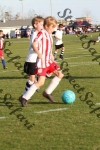 IMG_0212 (cam 0)