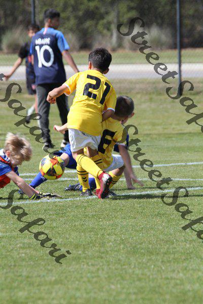 IMG_0013 (cam 0)