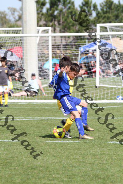 IMG_0035 (cam 0)