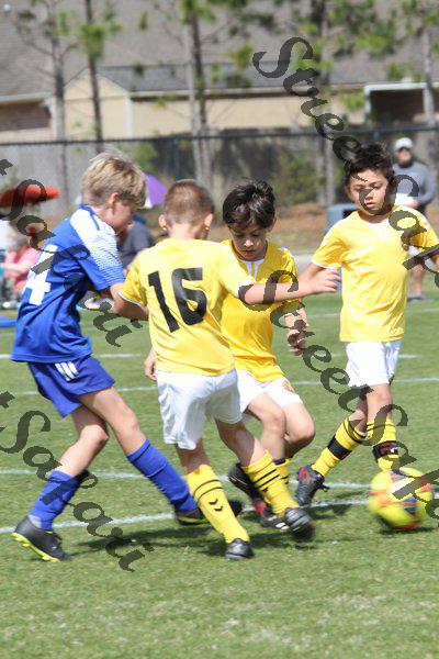 IMG_0042 (cam 0)