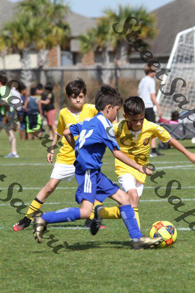 IMG_0076 (cam 0)