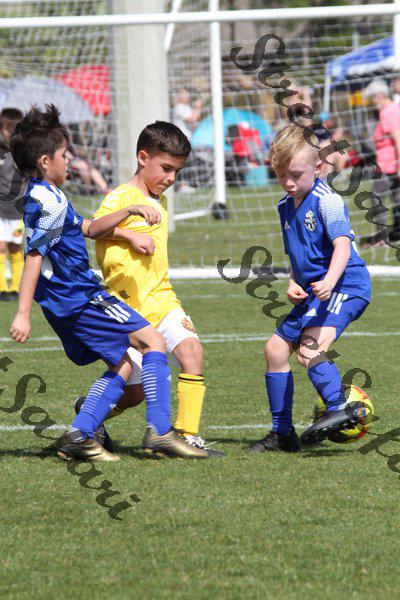 IMG_0077 (cam 0)