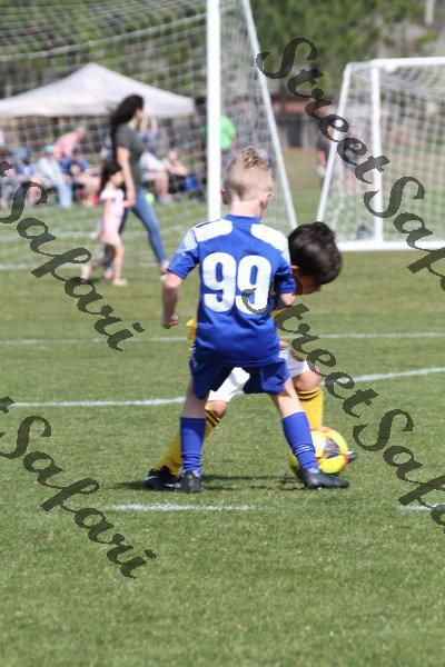 IMG_0080 (cam 0)