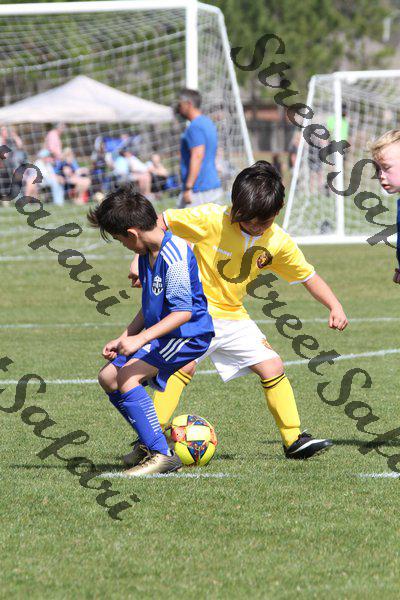 IMG_0081 (cam 0)