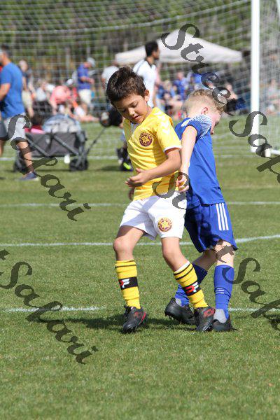 IMG_0086 (cam 0)