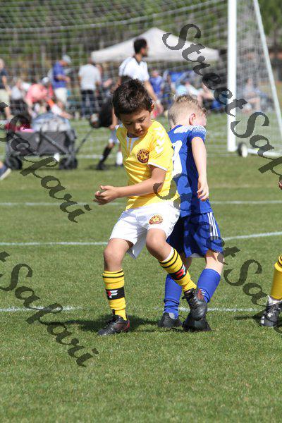 IMG_0087 (cam 0)