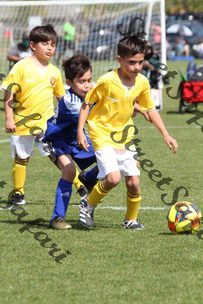 IMG_0089 (cam 0)