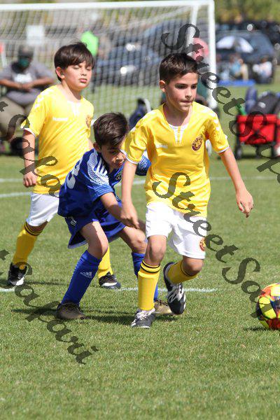 IMG_0090 (cam 0)