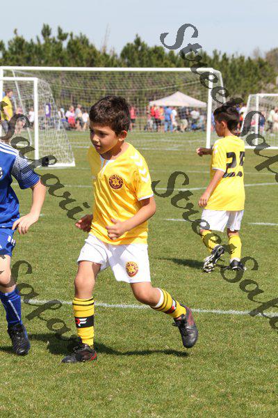 IMG_0095 (cam 0)