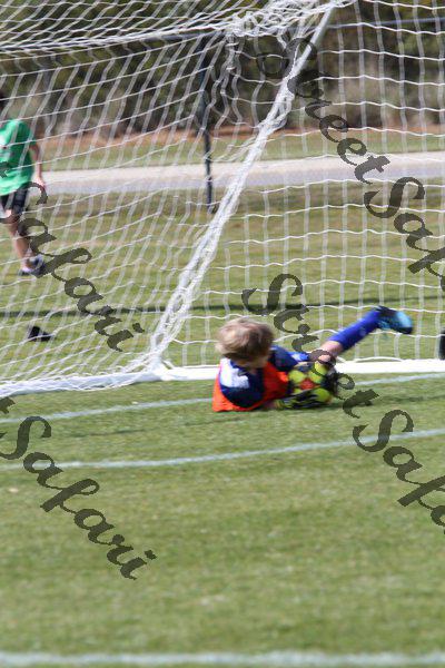 IMG_0115 (cam 0)