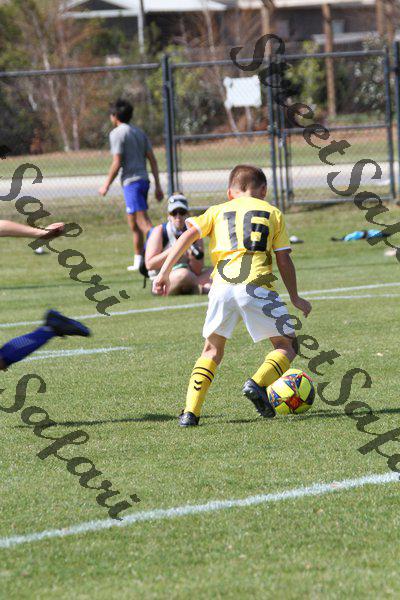 IMG_0129 (cam 0)