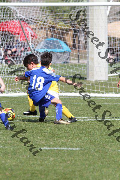 IMG_0146 (cam 0)