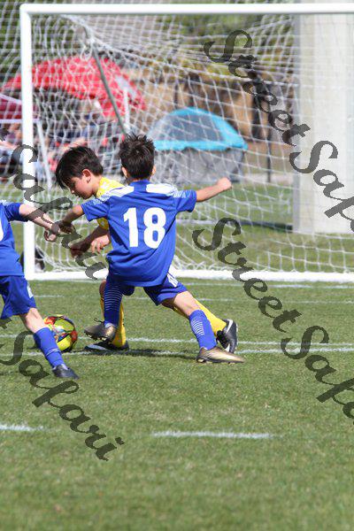 IMG_0147 (cam 0)