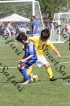 IMG_0081 (cam 0)