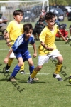 IMG_0091 (cam 0)
