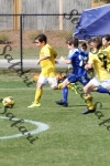 IMG_0111 (cam 0)
