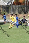 IMG_0121 (cam 0)