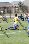 IMG_0156 (cam 0)