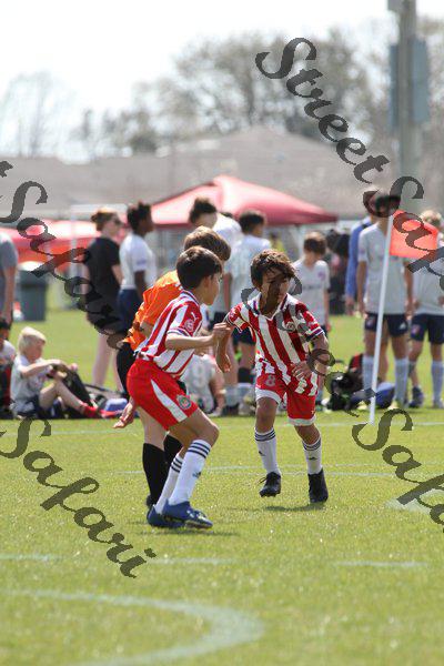 IMG_0041 (cam 0)